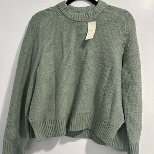 Abercrombie & Fitch Sage Green Crew Neck Sweater